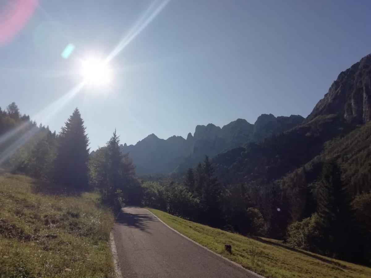 Alpen Hotel 3*